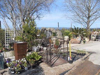 Entertainment and fun at Outeniqua Spring Festival